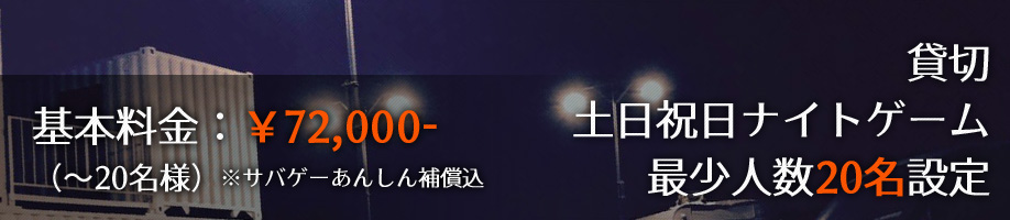 土日祝日ナイトゲーム