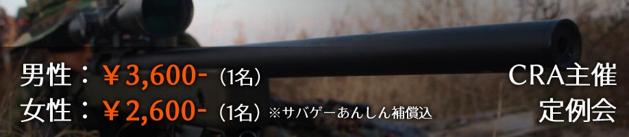 定例会