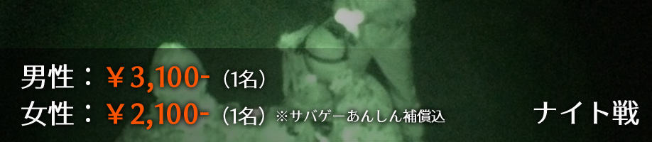 ナイト戦